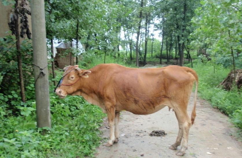 桐乡最新求一个套医保卡的黄牛是真的吗方法分析(最方便真实的桐乡求一个套医保卡的黄牛是真的吗还是假的方法)